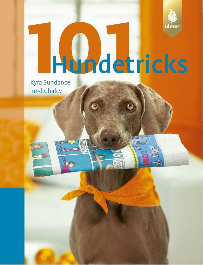 101 Hundetricks