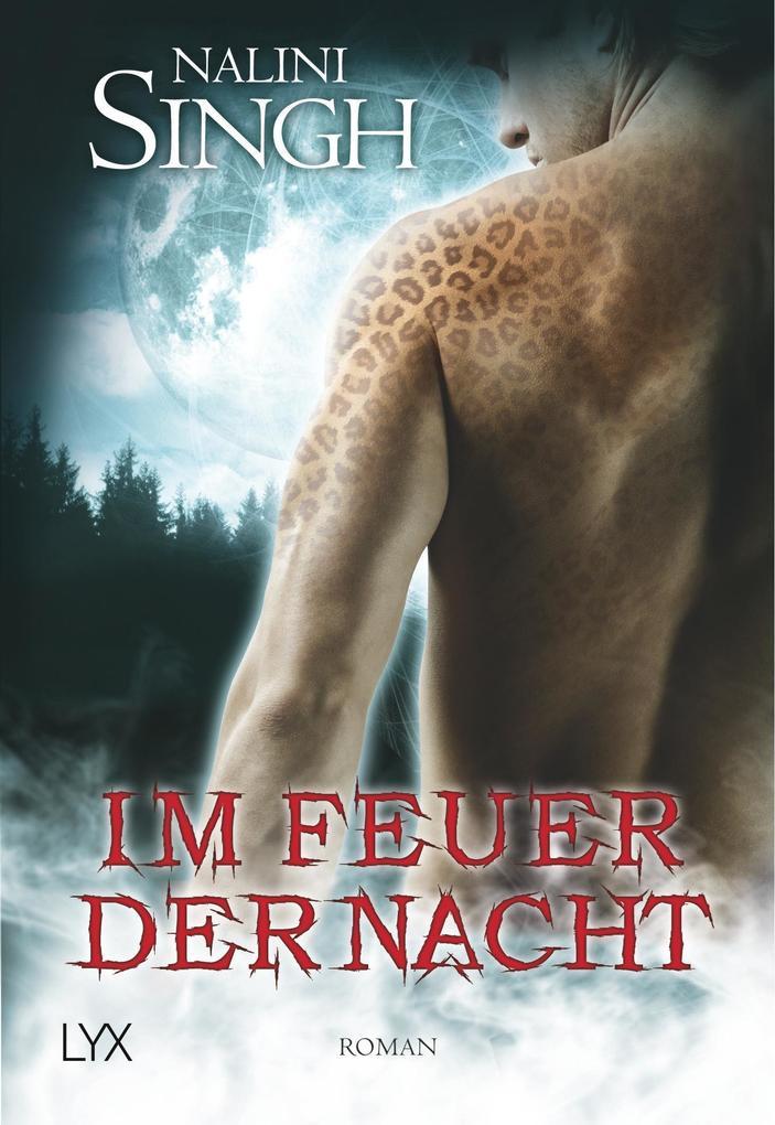 Im Feuer der Nacht