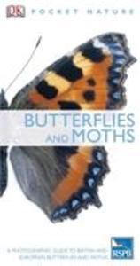 Butterflies and Moths