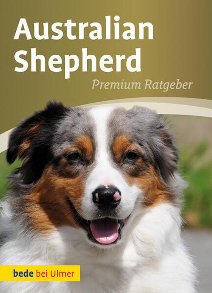 Australian Shepherd