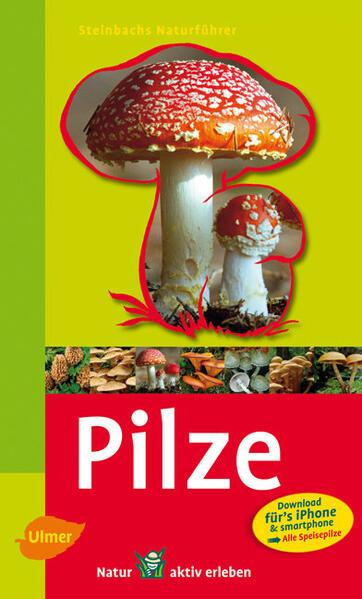 Steinbachs Naturführer Pilze