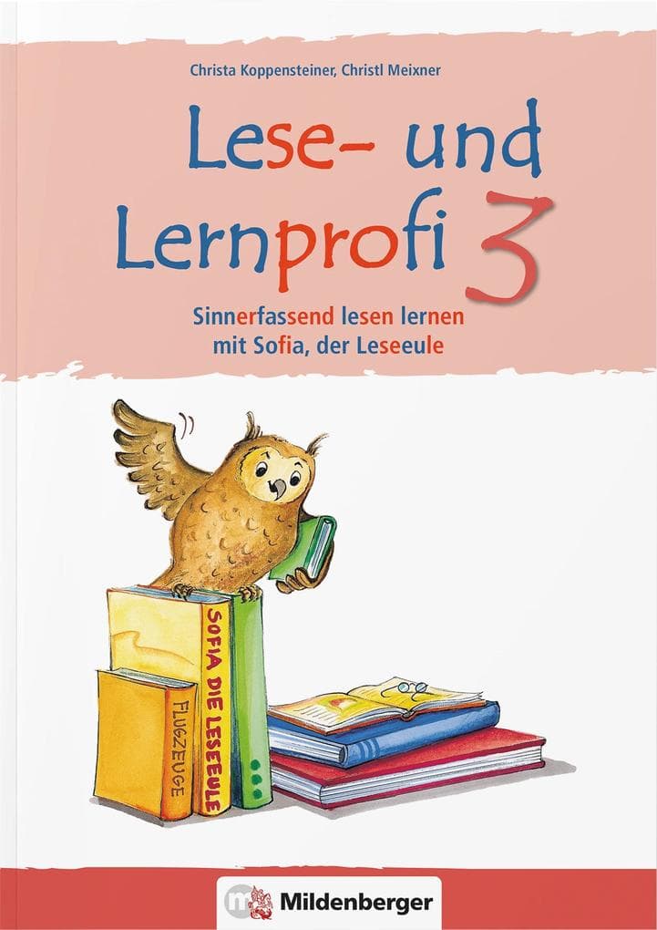 Lese- und Lernprofi 3 NEU - Schülerarbeitsheft - silbierte Ausgabe