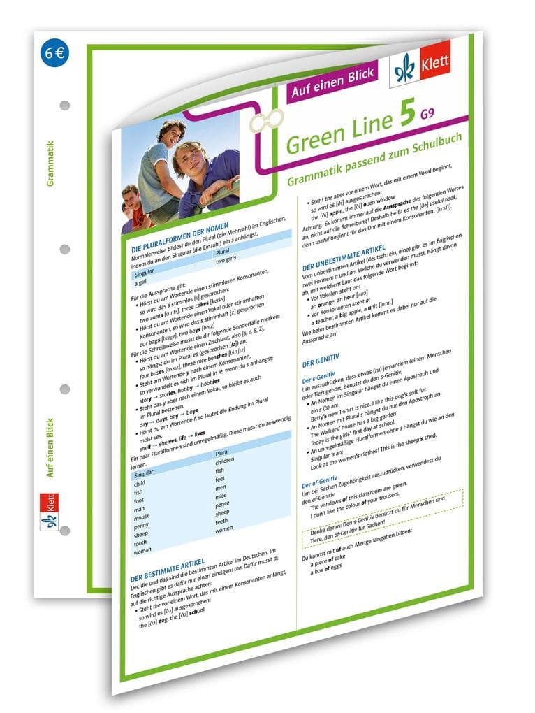 Green Line 5 G9 Klasse 9 Auf einen Blick. Grammatik passend zum Schulbuch