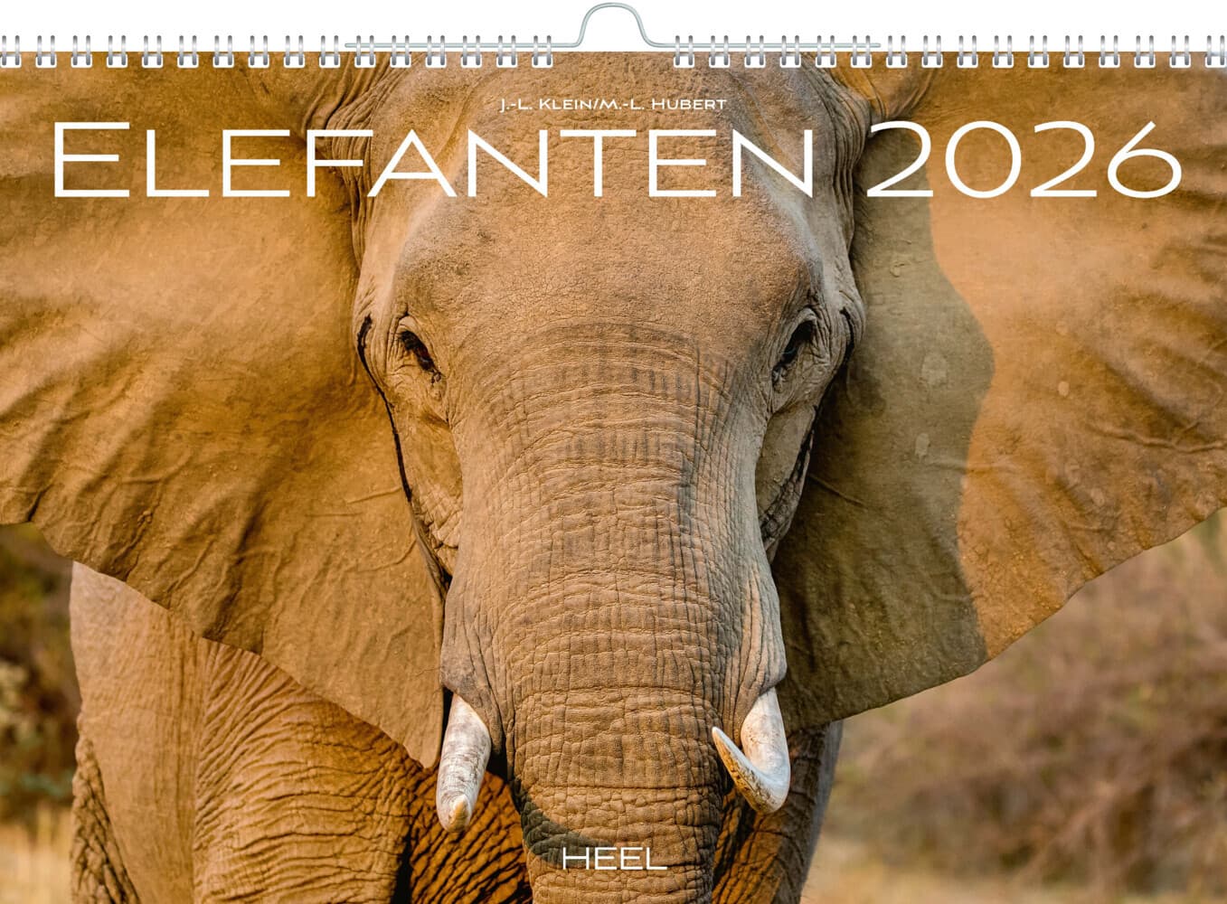 Elefanten Kalender 2026
