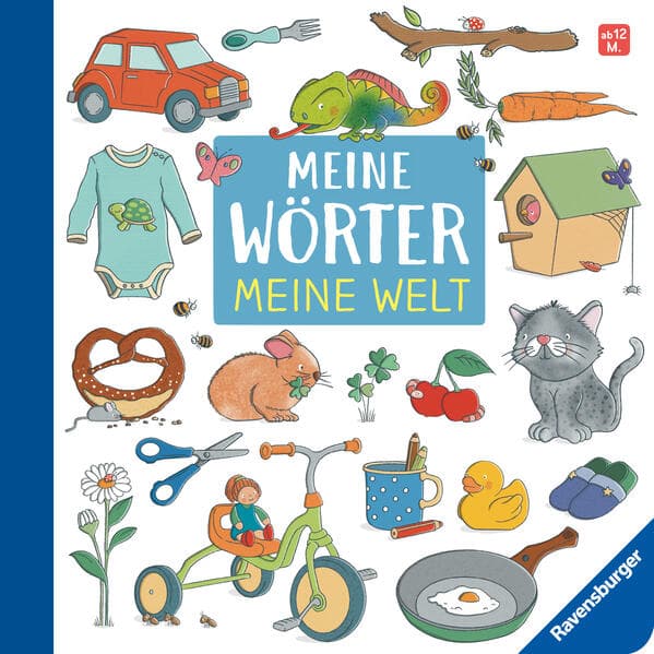 Meine Wörter - Meine Welt: Mein erstes buntes Wörterbuch