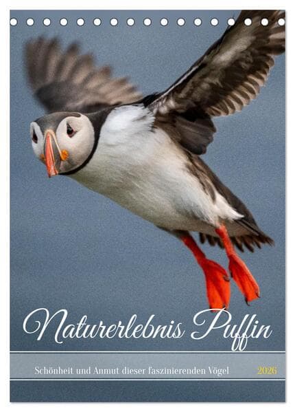 Naturerlebnis Puffin (Tischkalender 2026 DIN A5 hoch), CALVENDO Monatskalender