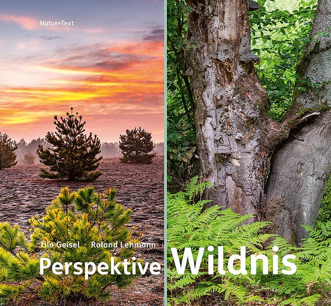 Perspektive Wildnis