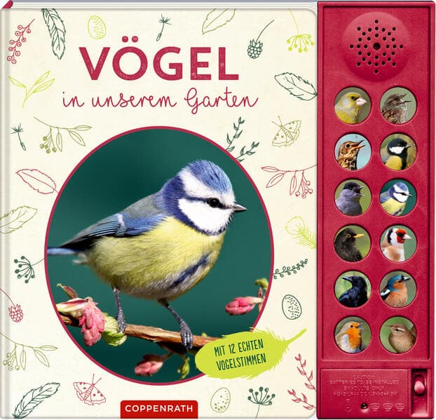 Vögel in unserem Garten