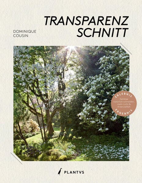 Transparenzschnitt