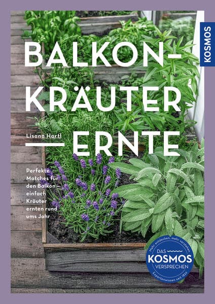Balkon-Kräuter-Ernte