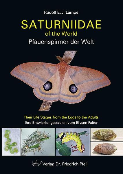 Saturniidae of the World - Pfauenspinner der Welt