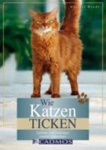 Wie Katzen ticken