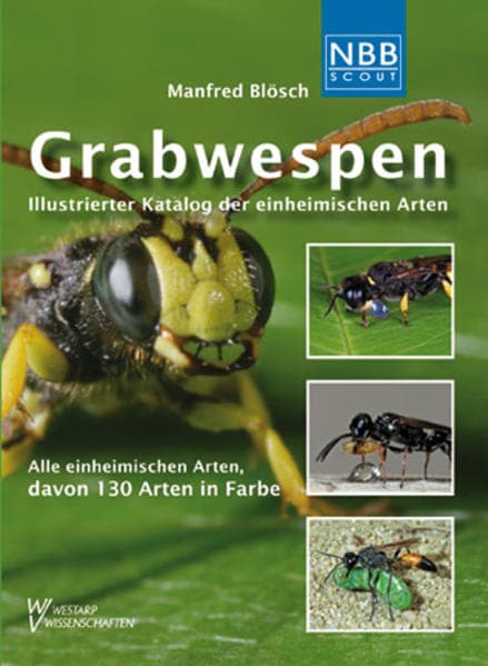 Grabwespen