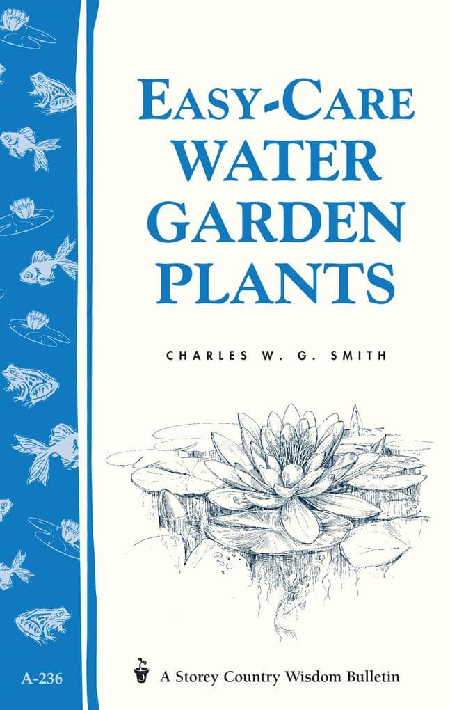 Easy-Care Water Garden Plants