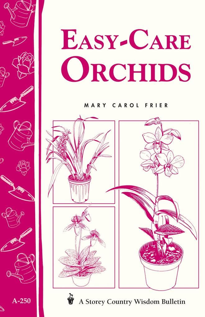 Easy-Care Orchids