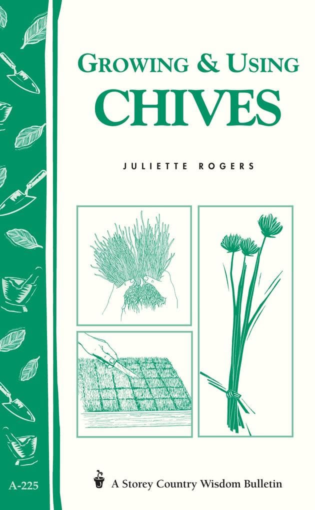 Growing & Using Chives