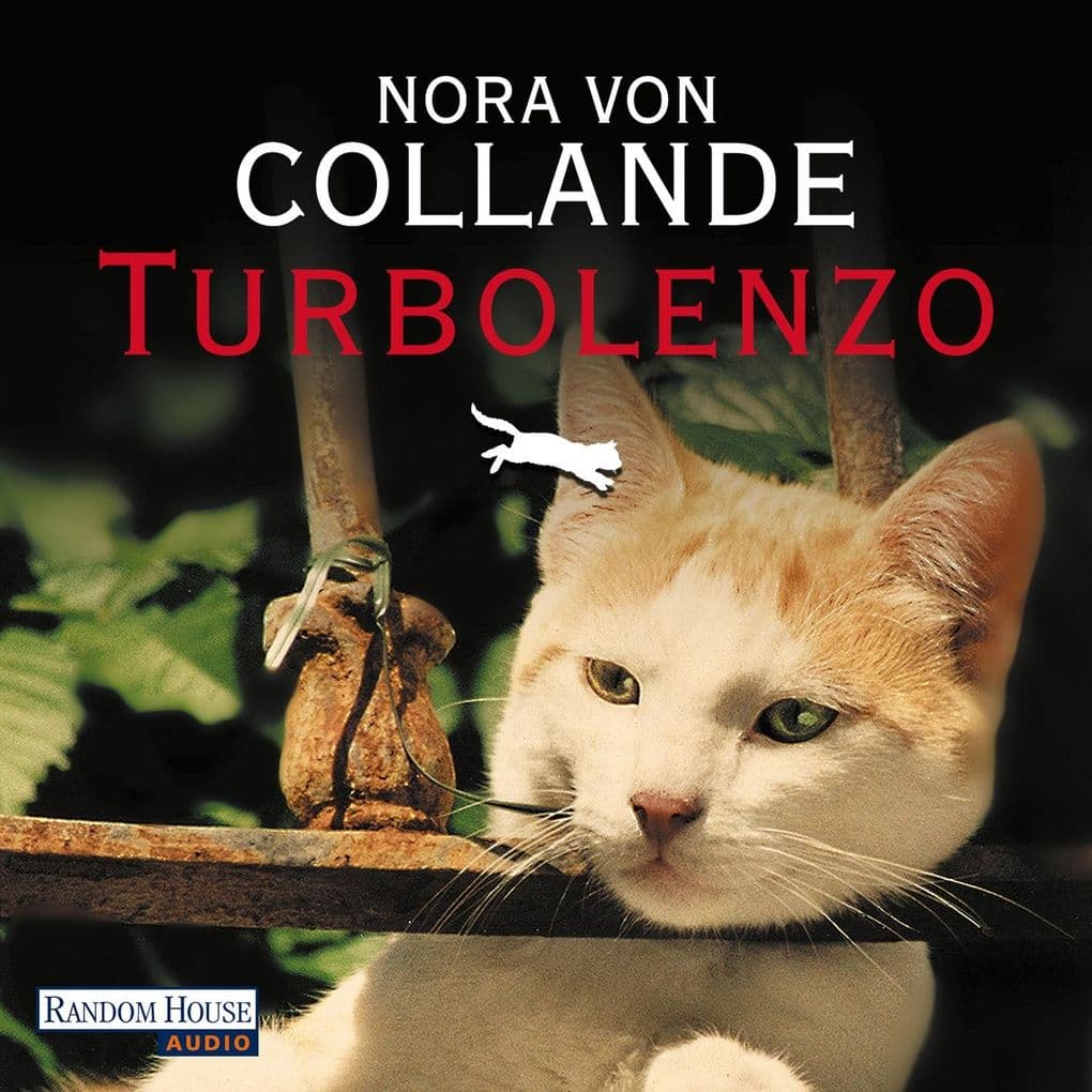 Turbolenzo