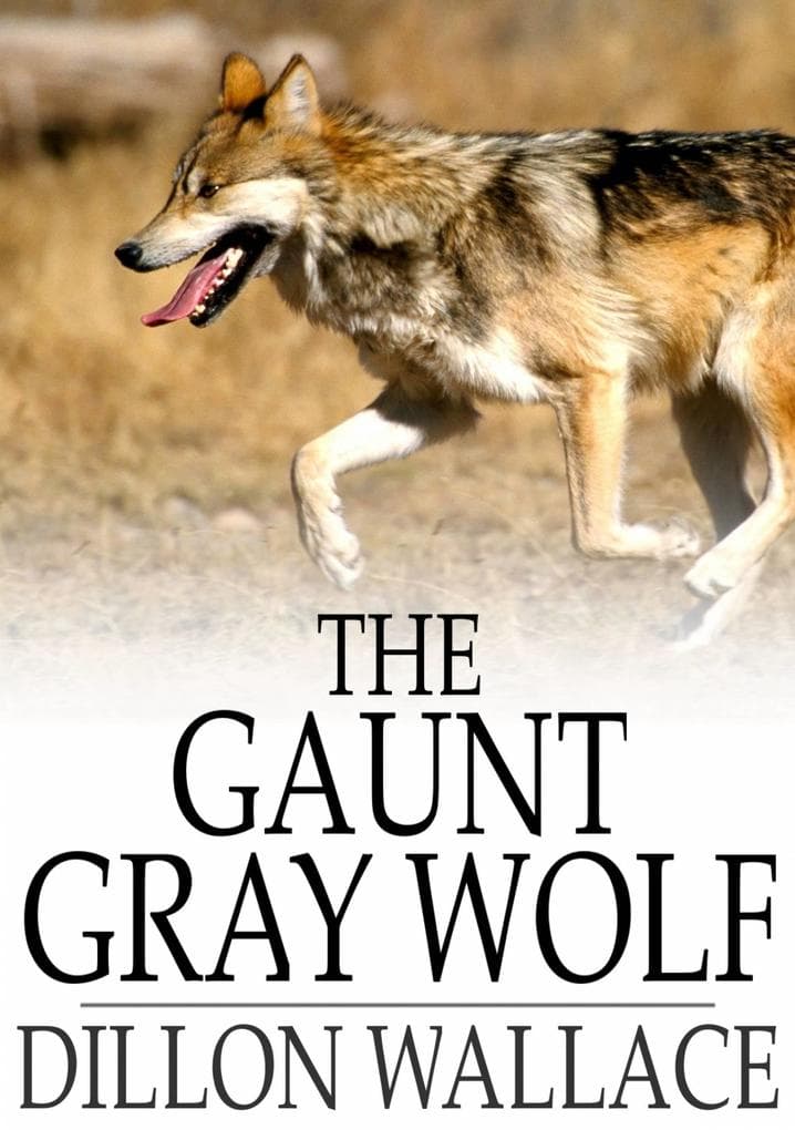 Gaunt Gray Wolf