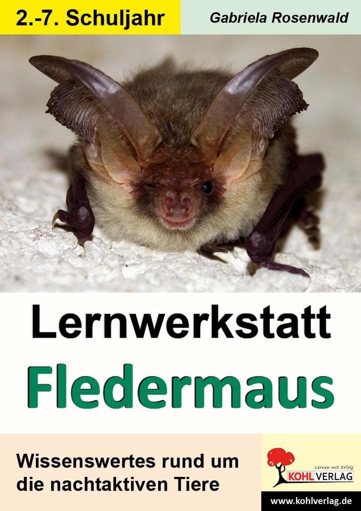 Lernwerkstatt Die Fledermaus