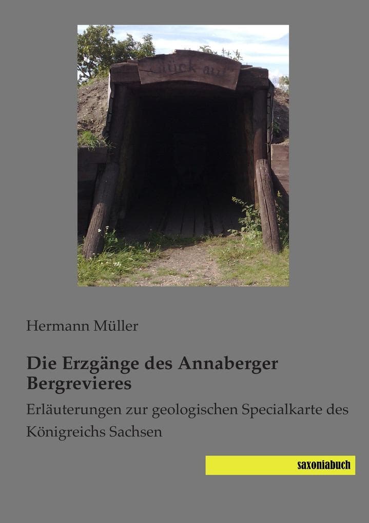 Die Erzgänge des Annaberger Bergrevieres