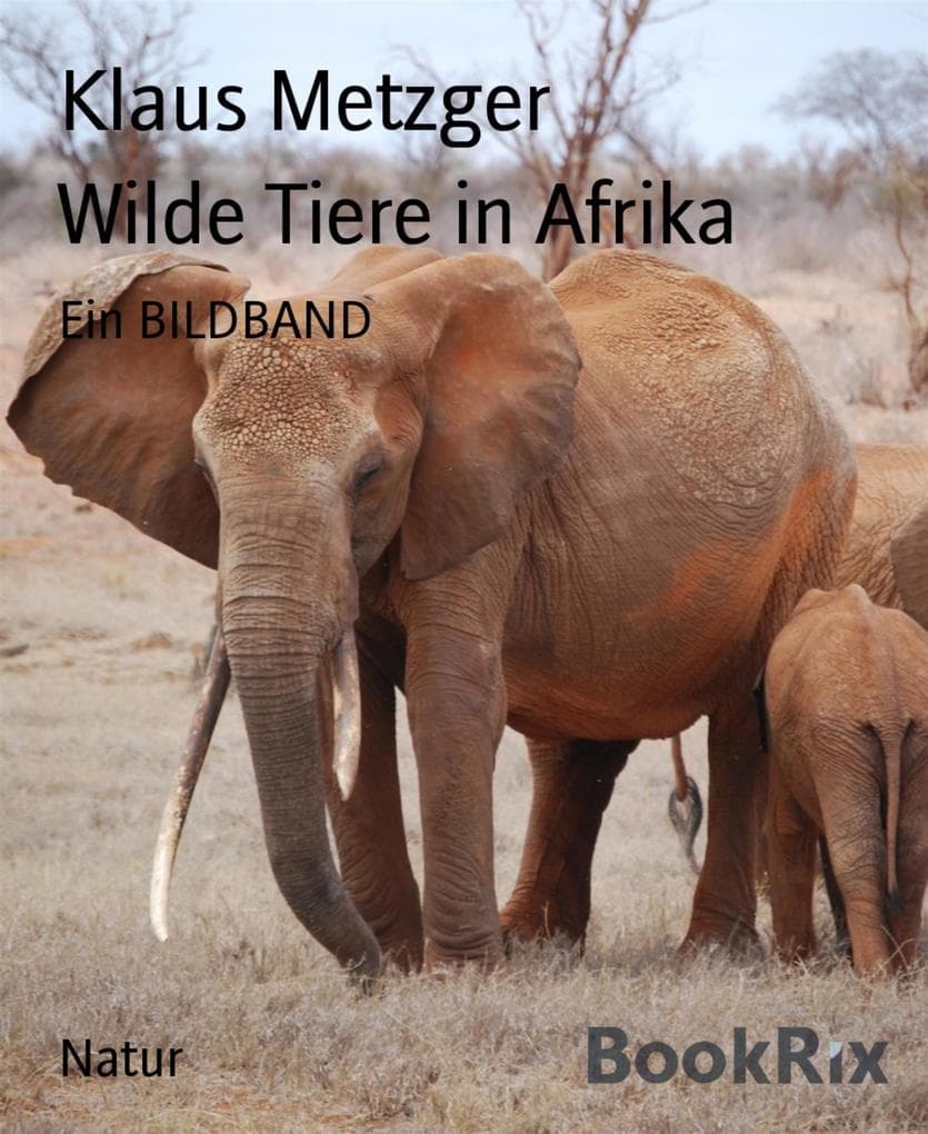 Wilde Tiere in Afrika