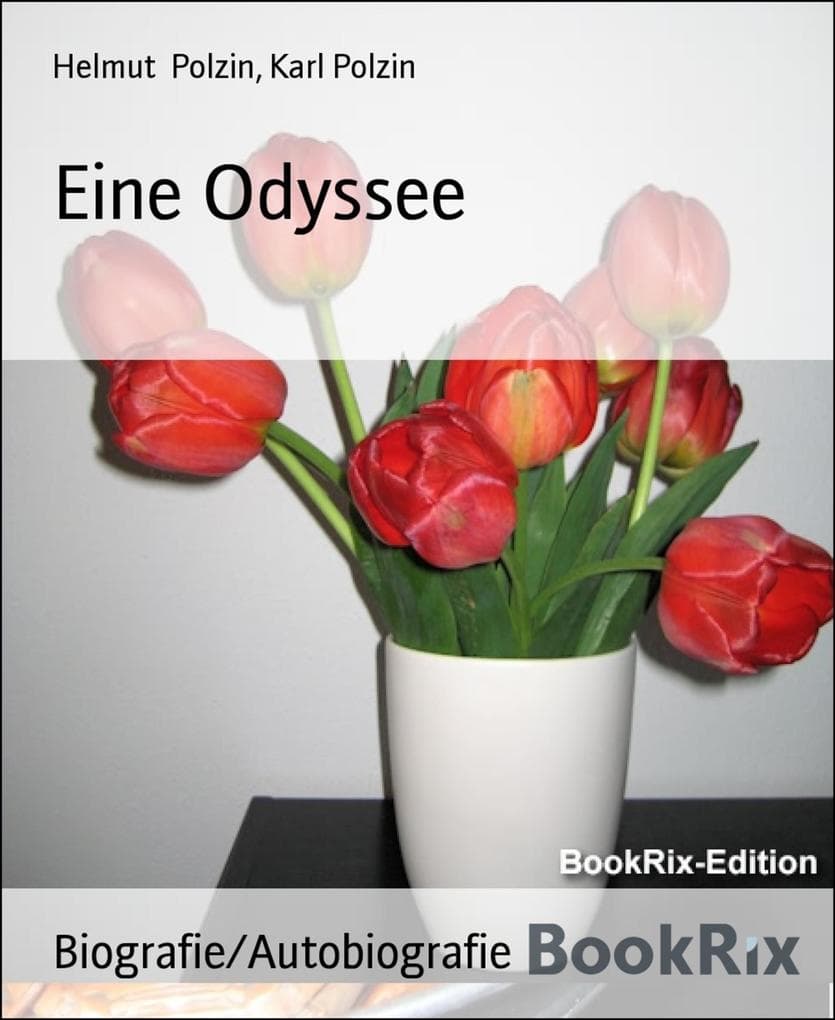 Eine Odyssee