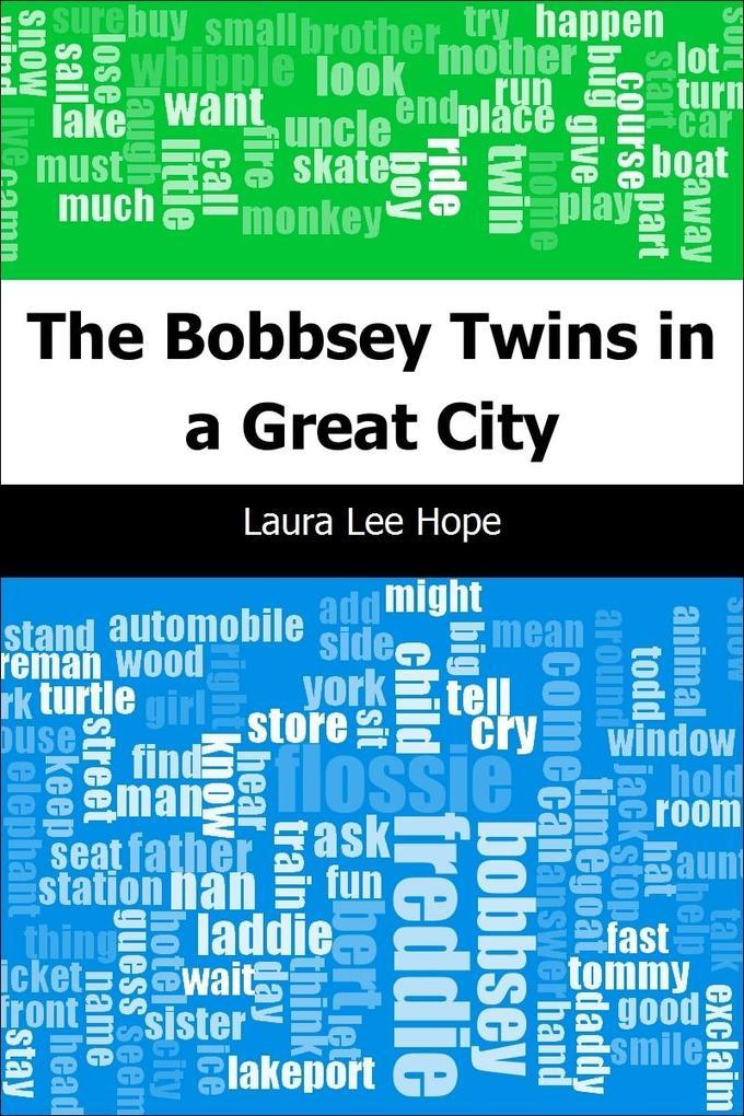 Bobbsey Twins in a Great City