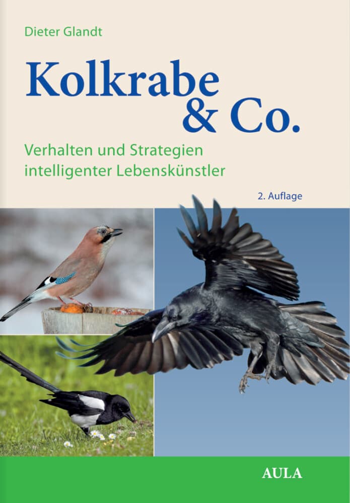 Kolkrabe & Co.