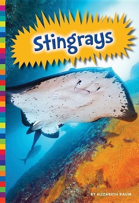 Stingrays