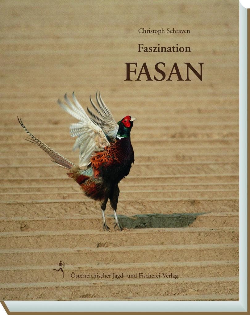 Faszination Fasan