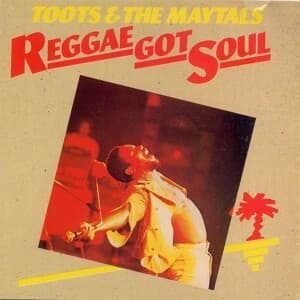 Reggae Got Soul (Vinyl)