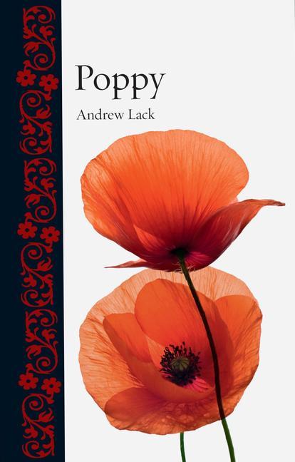 Poppy