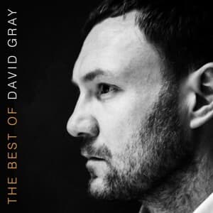 The Best Of David Gray (2LP/Gatefold)