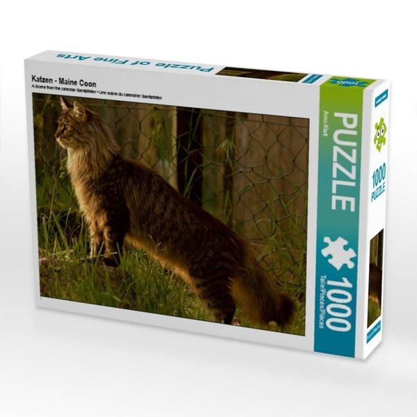 Katzen - Maine Coon (Puzzle)