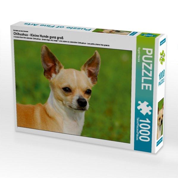 Ein Motiv aus dem Kalender Chihuahua - Kleine Hunde ganz groß (Puzzle)