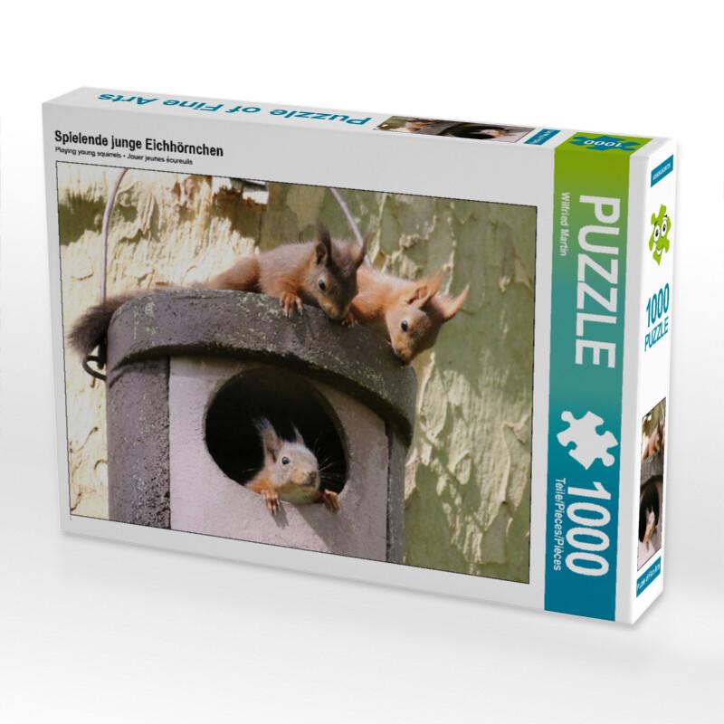 CALVENDO Puzzle Spielende junge Eichhörnchen 1000 Teile Lege-Größe 64 x 48 cm Foto-Puzzle Bild von W