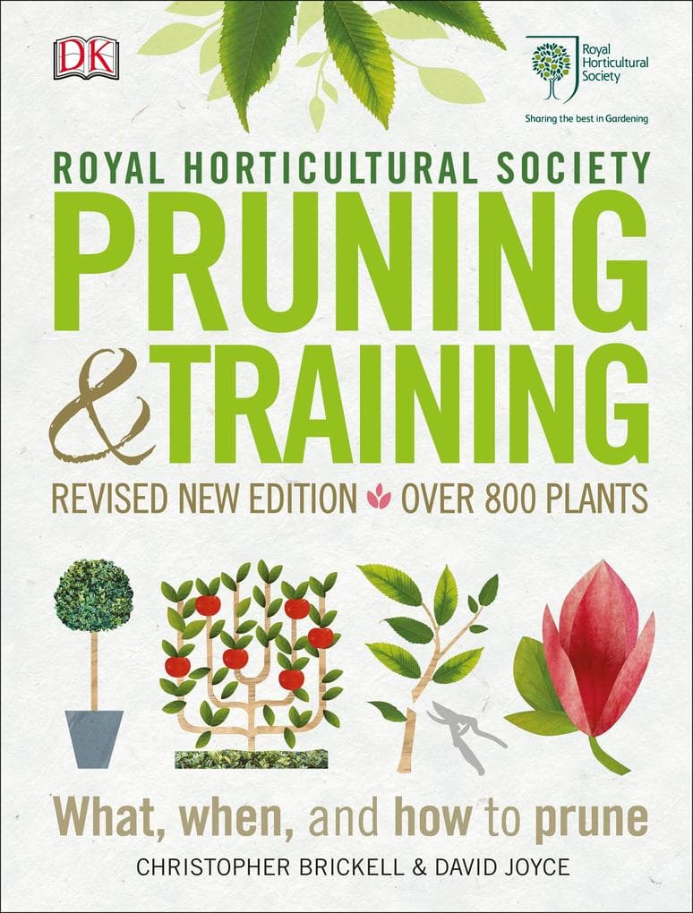 RHS Pruning and Training