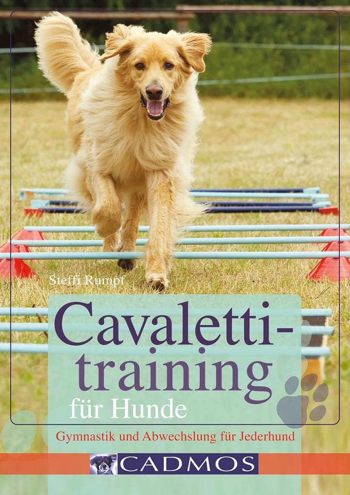 Cavalettitraining für Hunde