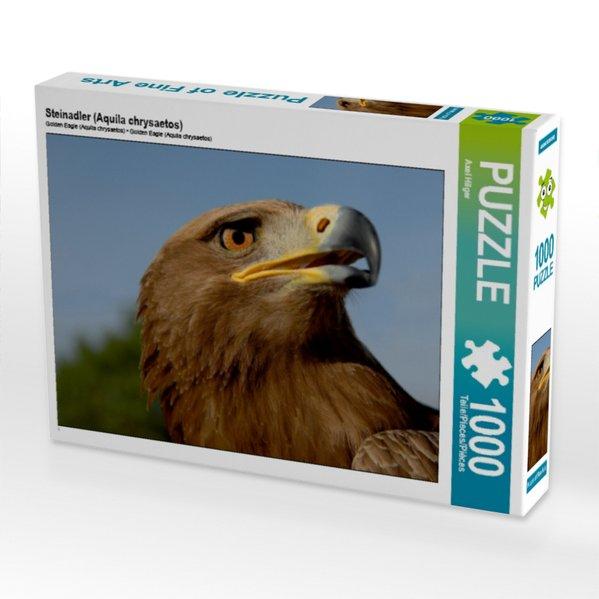 Steinadler (Aquila chrysaetos) (Puzzle)