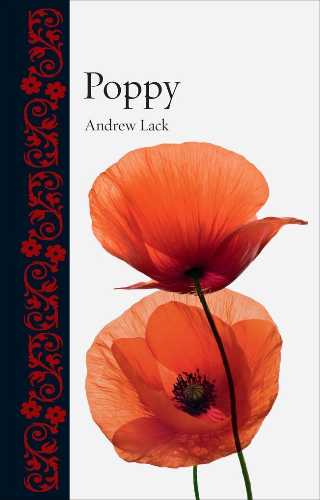 Poppy