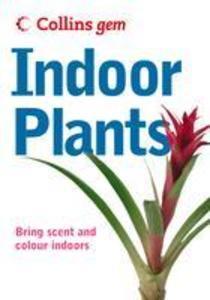 Indoor Plants