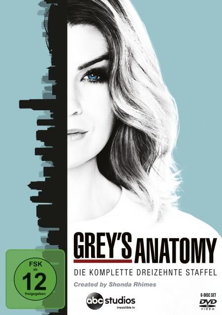 Greys Anatomy - Die jungen Ärzte, Staffel 13