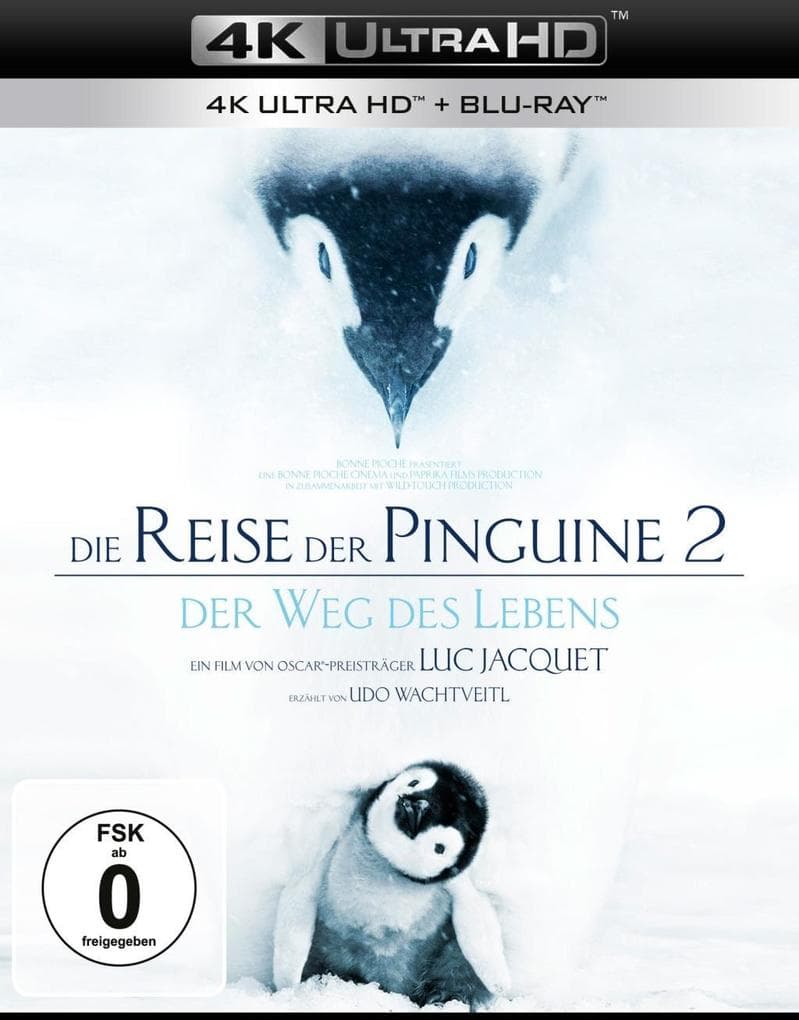 Die Reise der Pinguine 2 4K, 2 UHD-Blu-ray