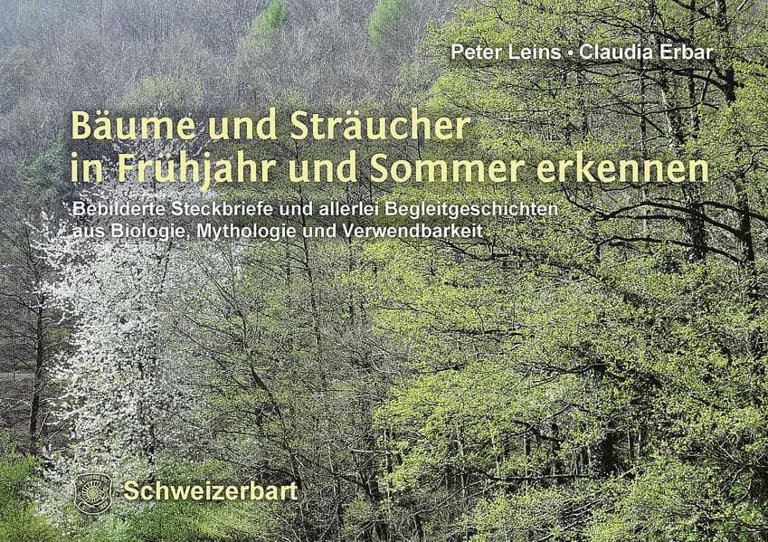 Bäume und Sträucher in Frühjahr und Sommer erkennen