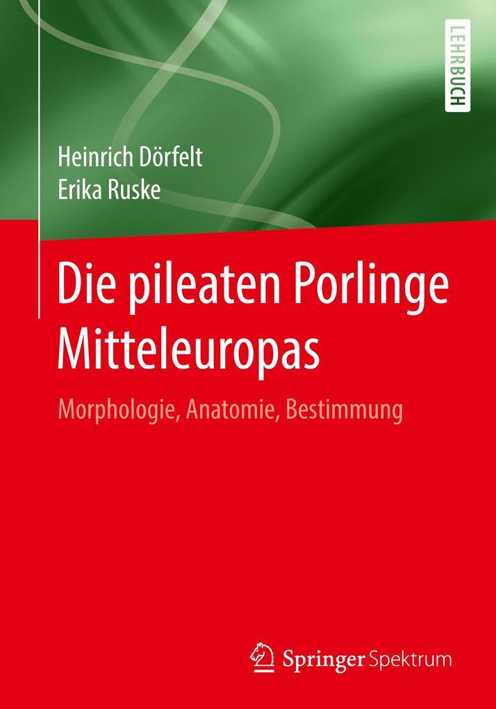 Die pileaten Porlinge Mitteleuropas