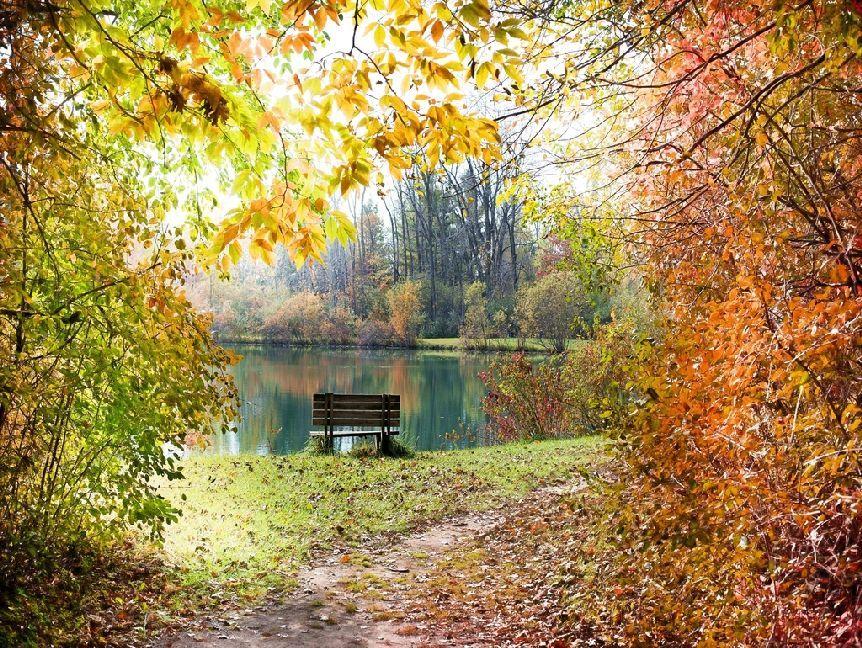 Herbstlandschaft - 1.000 Teile (Puzzle)