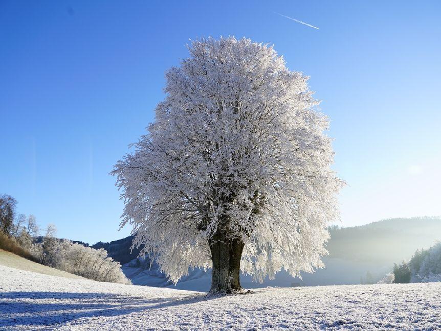 Winterlandschaft - 500 Teile (Puzzle)