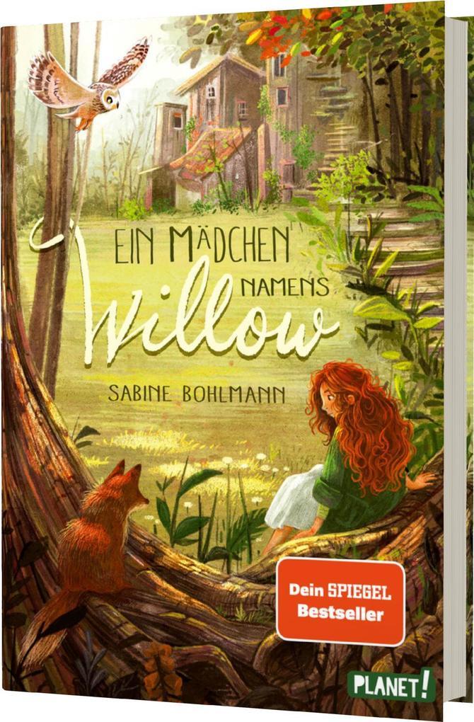 Sabine Bohlmann: Ein Mädchen namens Willow