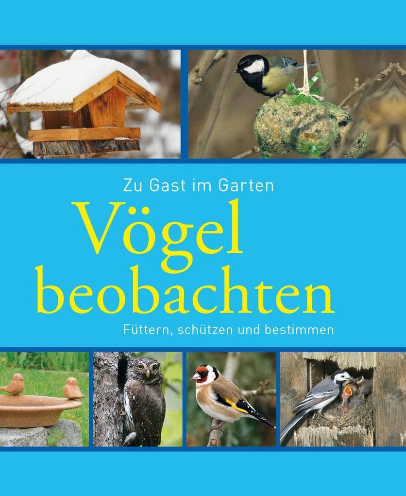 Vögel beobachten