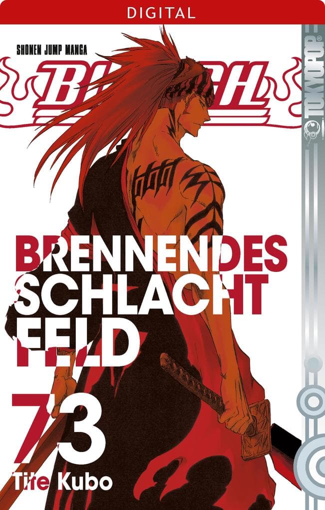 Bleach 73